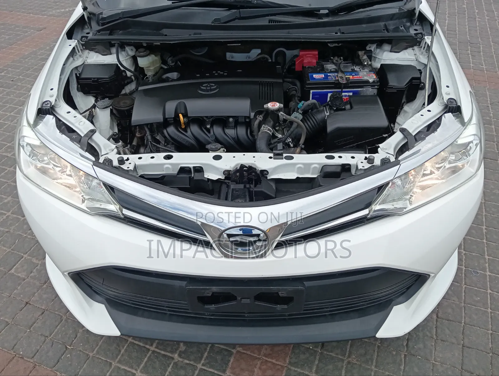 Toyota Corolla Fielder 2019 White