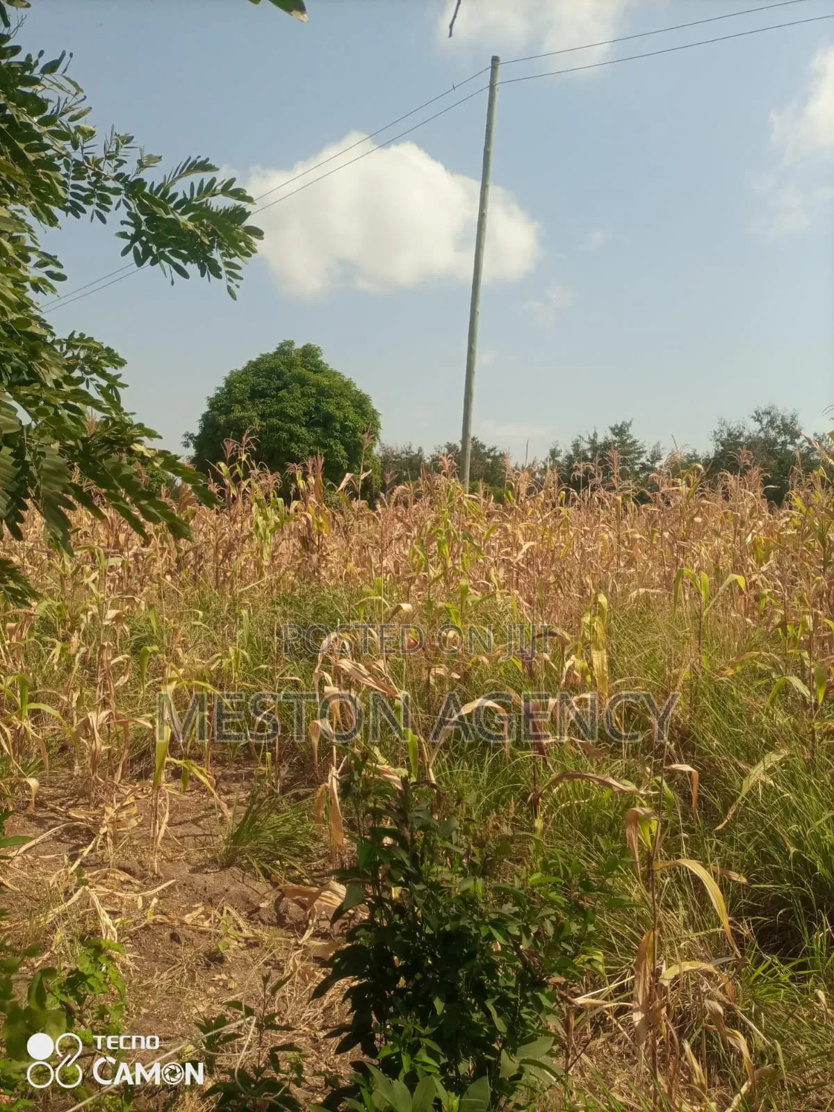 Half Acre Embu Makutano Junction Quick Sale