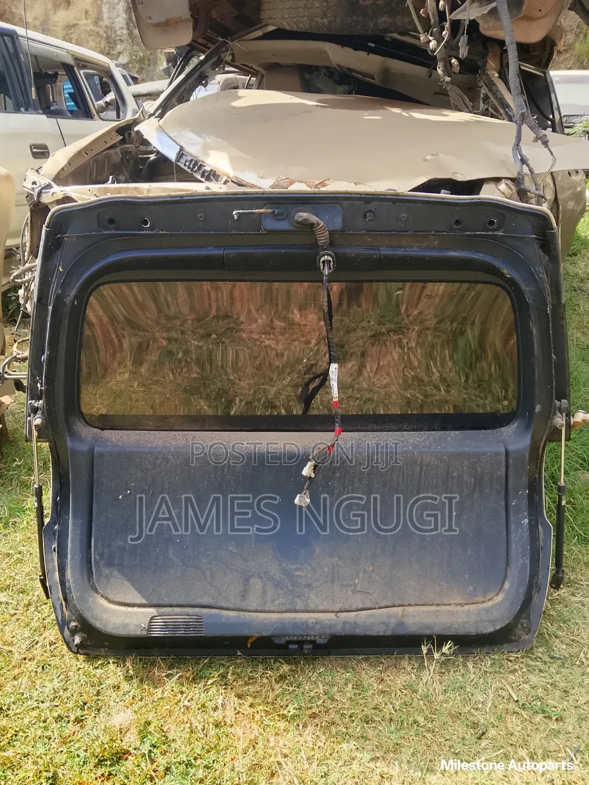 Fielder 161 Tail Gate
