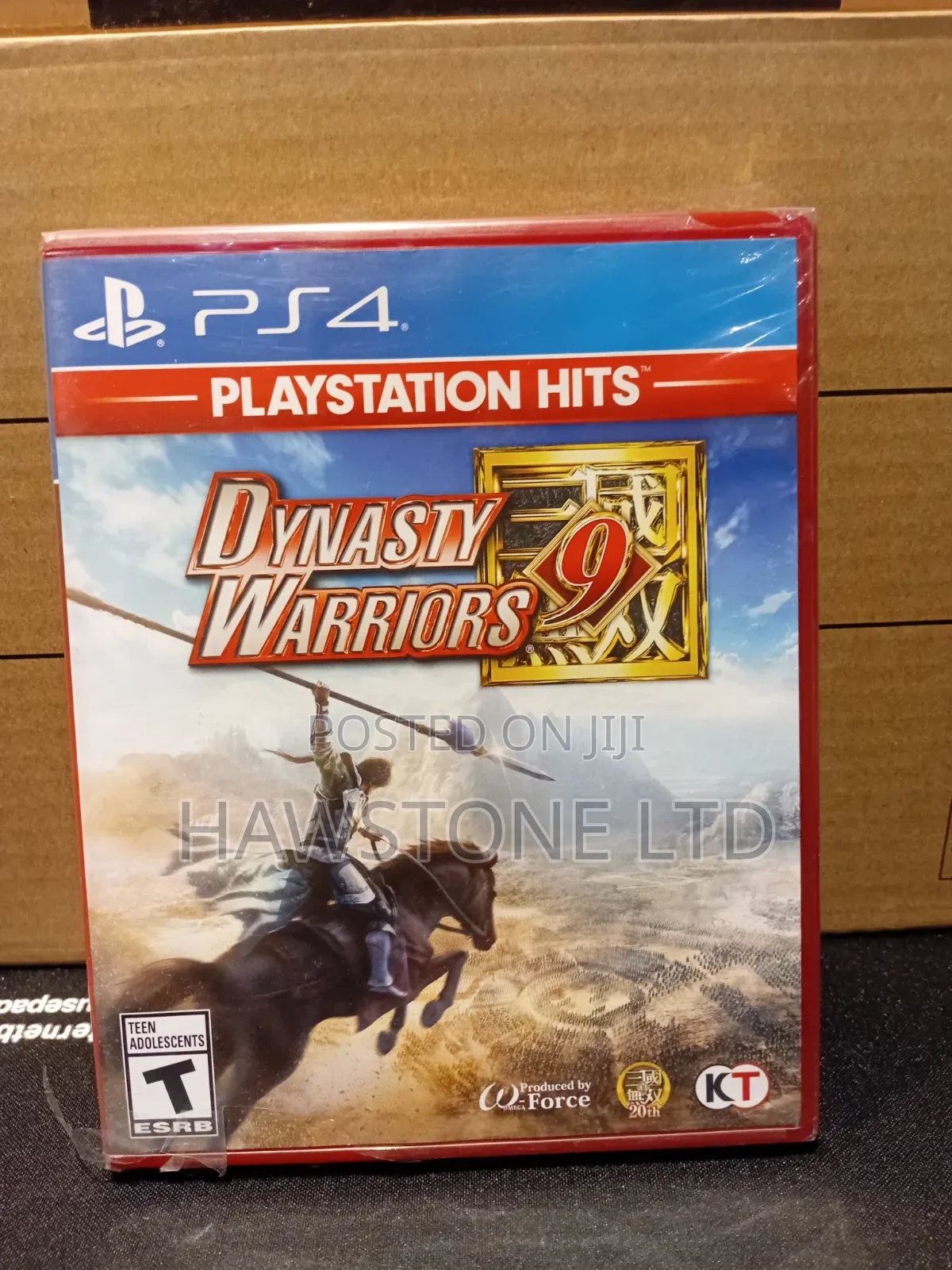 Dynasty Warrior 9
