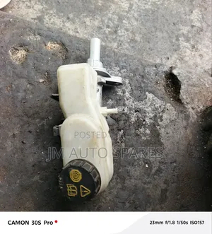 Brake Master Cylinder Ford
