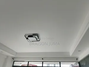Professional Wall And Furniture Painting