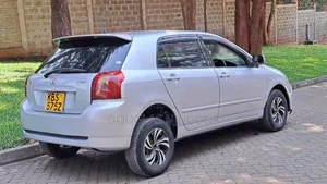 Toyota Allex 2005 Silver