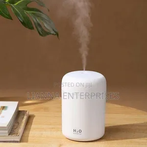 Light Snow Humidifier