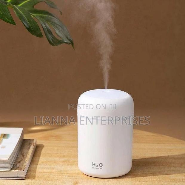 Light Snow Humidifier - main view