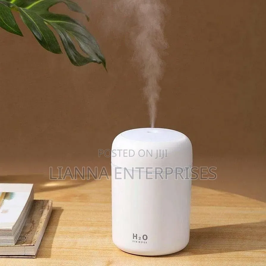 Light Snow Humidifier