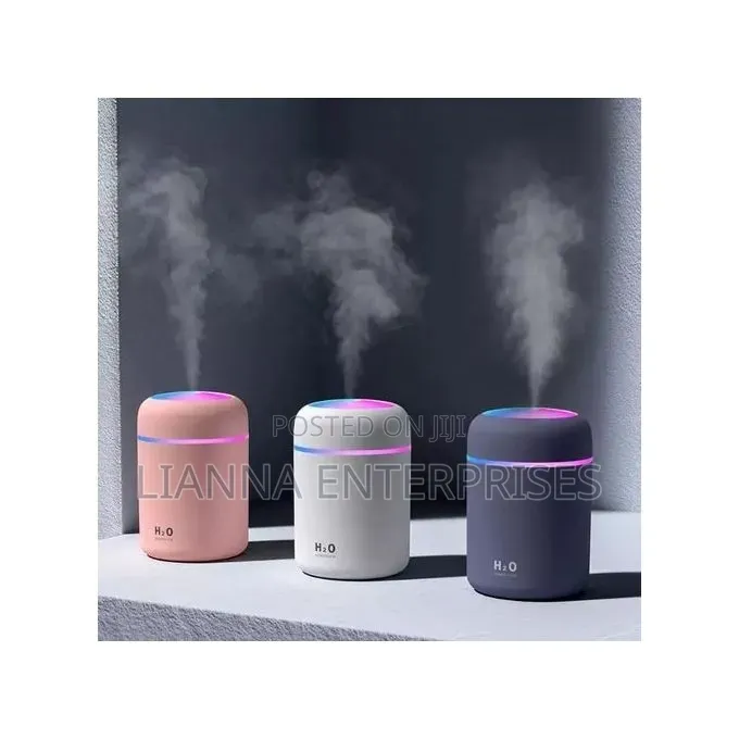 Light Snow Humidifier