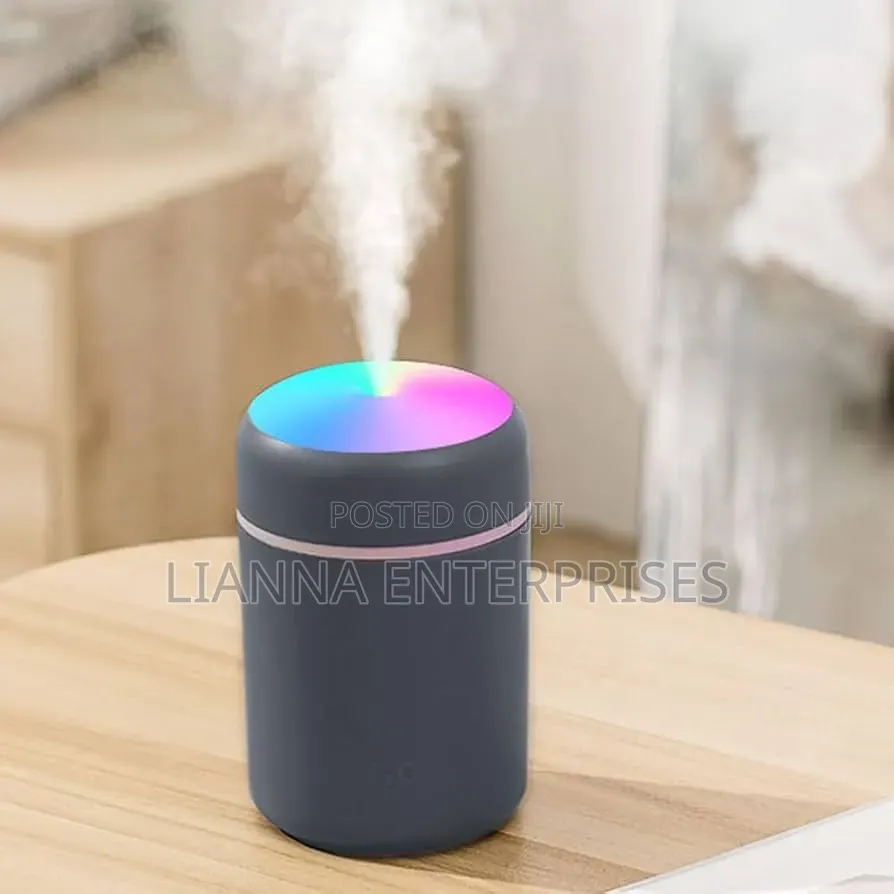 Light Snow Humidifier