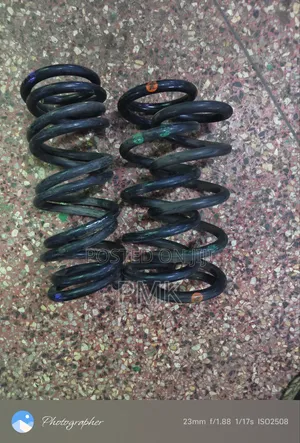Toyota Mark X Springs