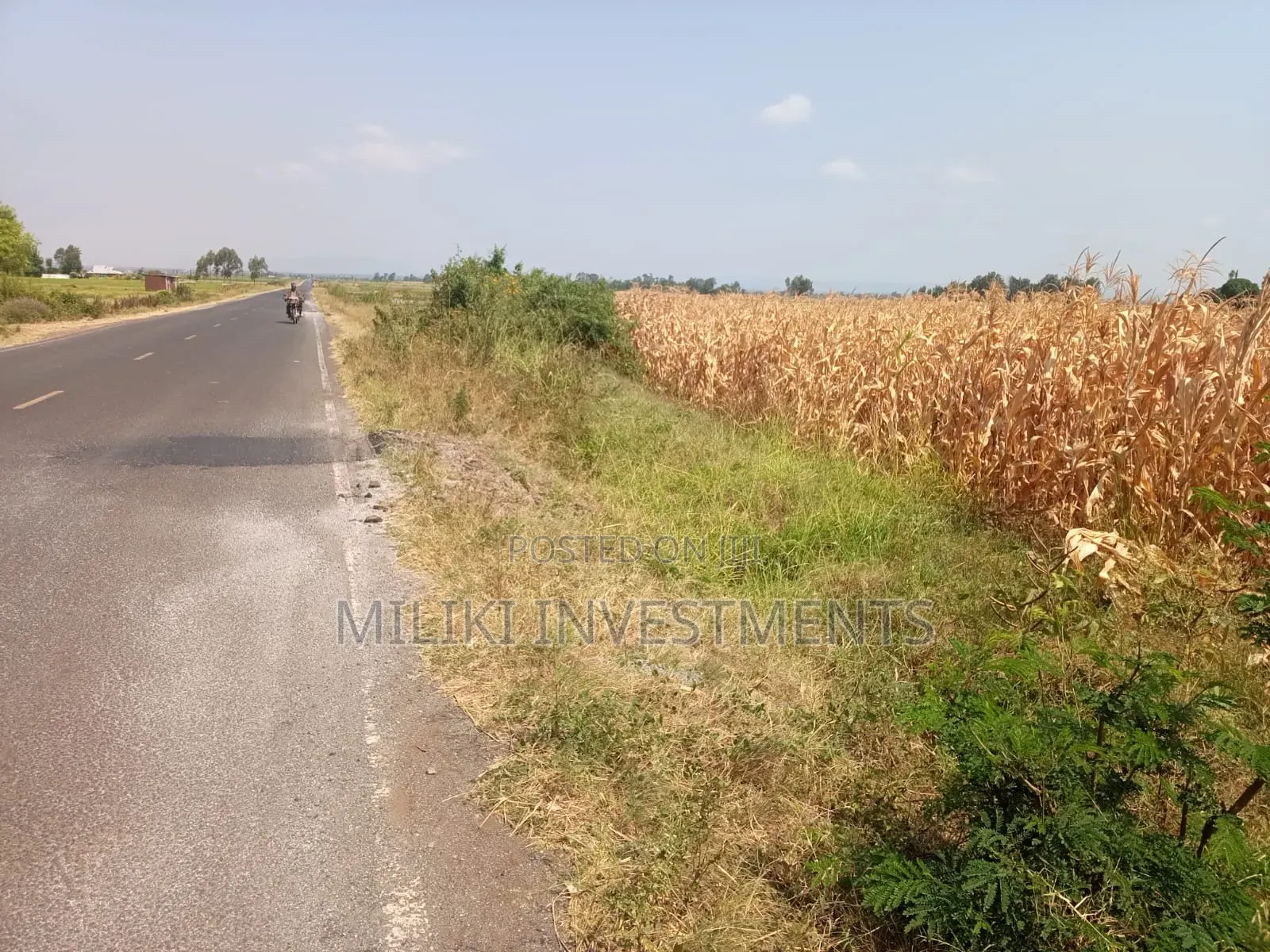 Half an Acre on Sale at Kirinyaga -Kandongu