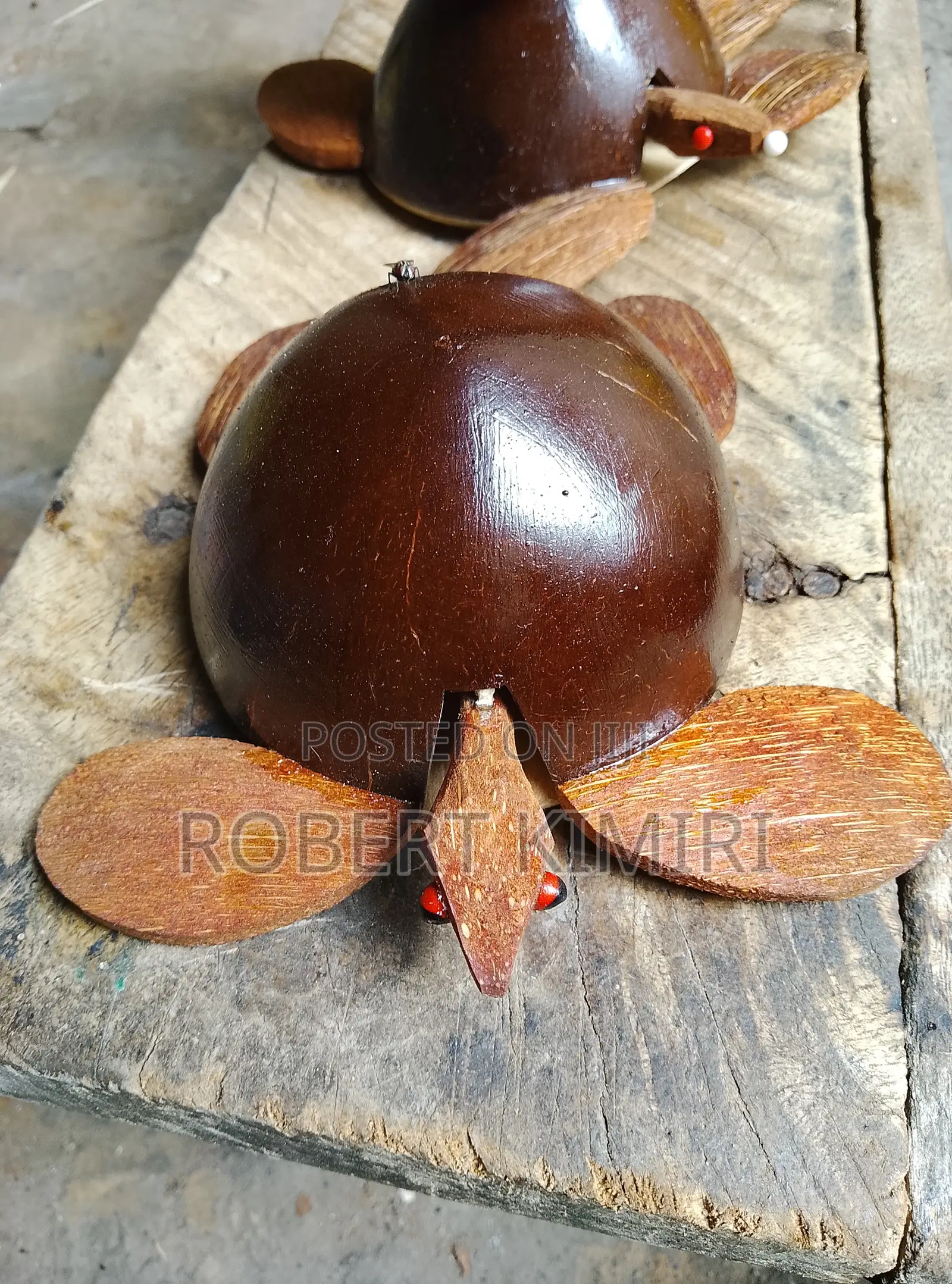 Handcrafted Coconut Turtle Ashtray