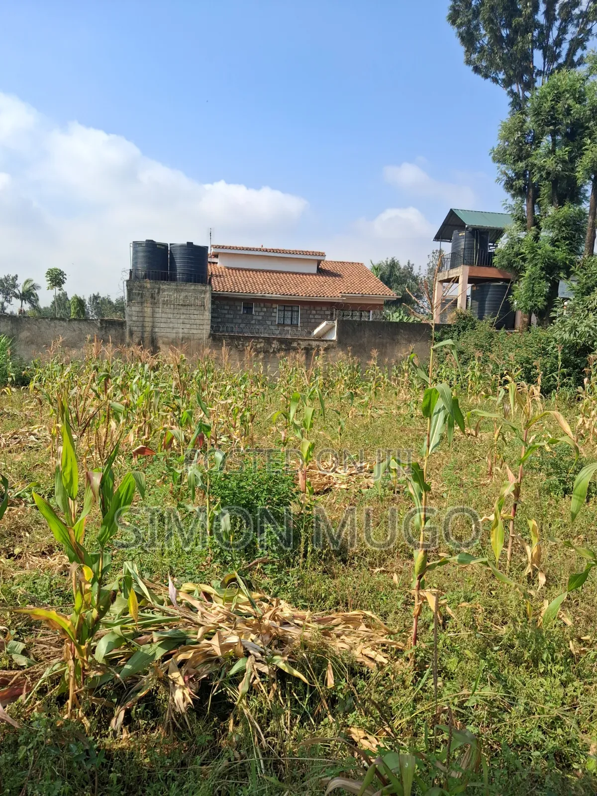 Thome 1 Estate Prime Well Drained Red Soil 1/2 Ac on Mugumoini Ave.
