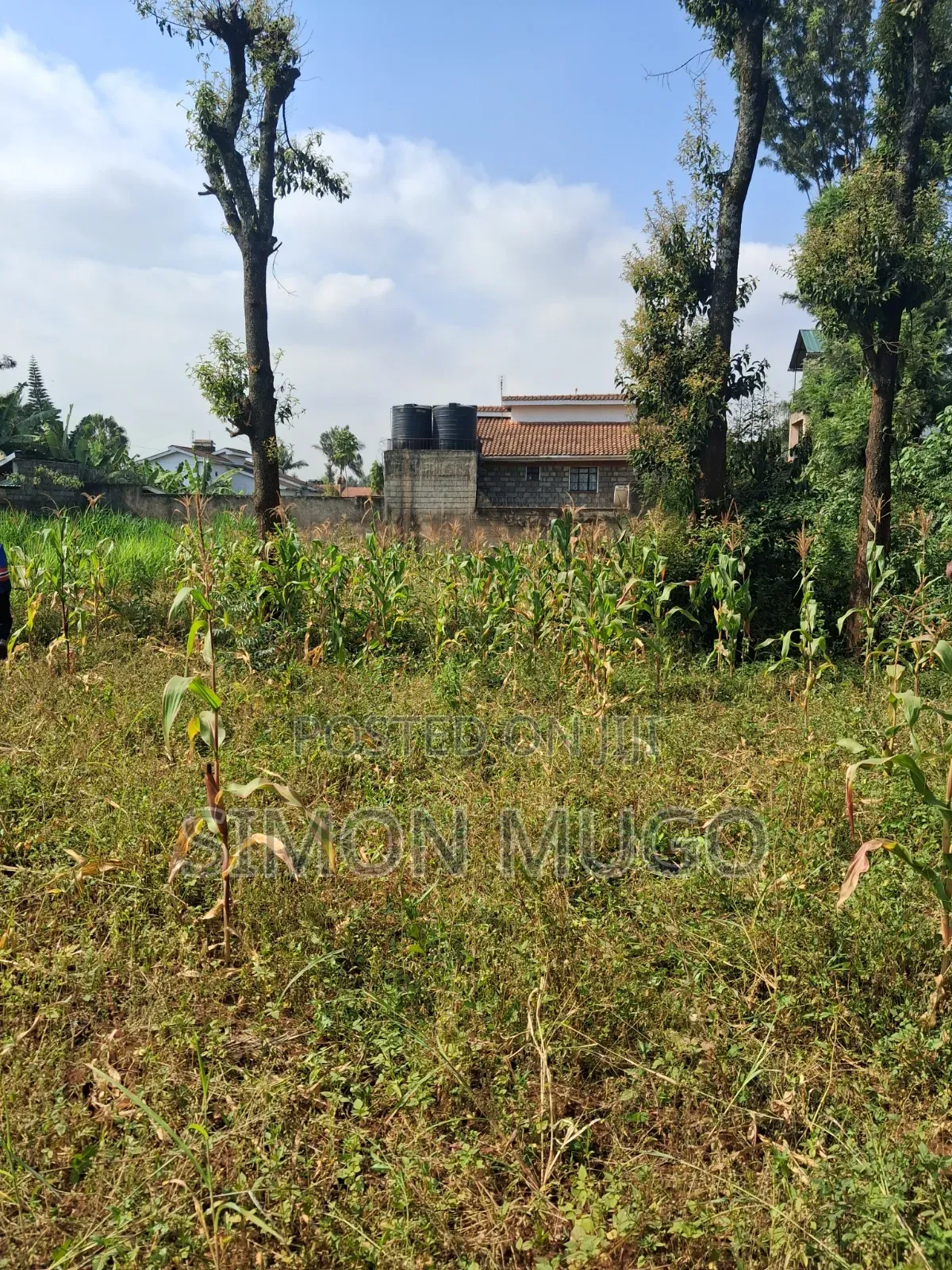 Thome 1 Estate Prime Well Drained Red Soil 1/2 Ac on Mugumoini Ave.