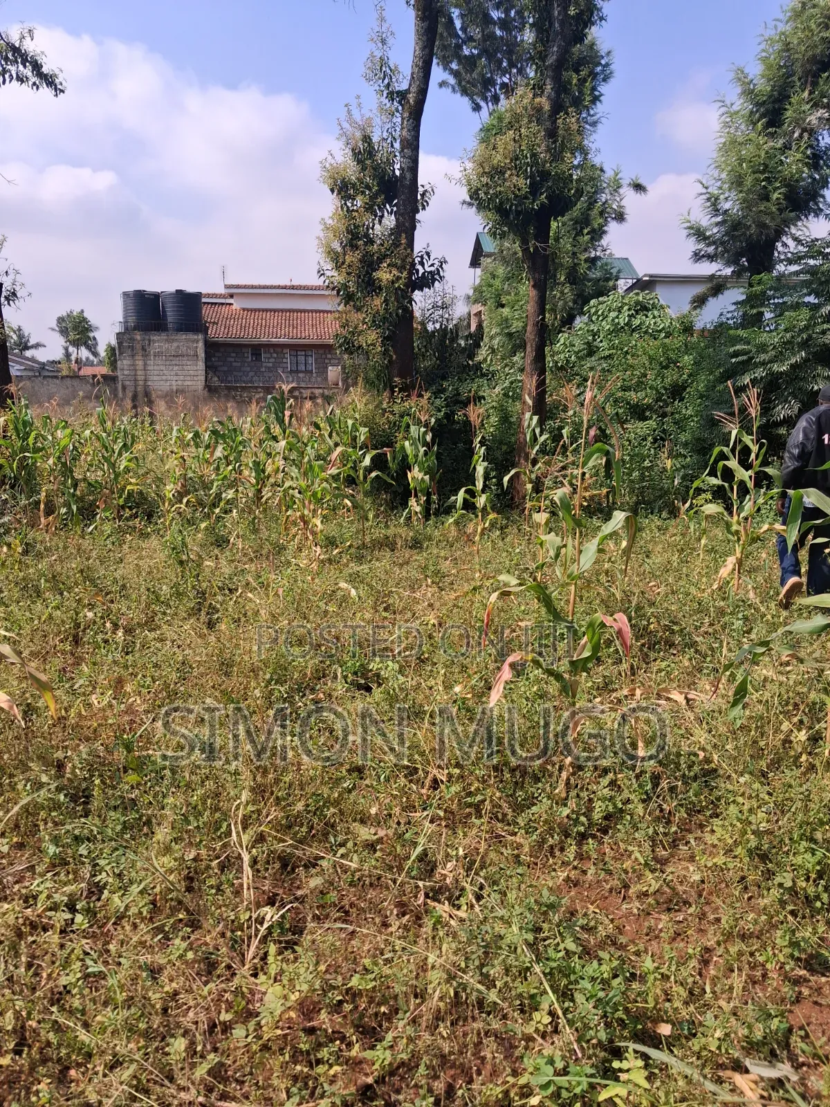 Thome 1 Estate Prime Well Drained Red Soil 1/2 Ac on Mugumoini Ave.