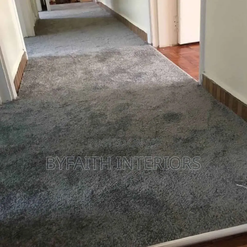 Room Red Carpet