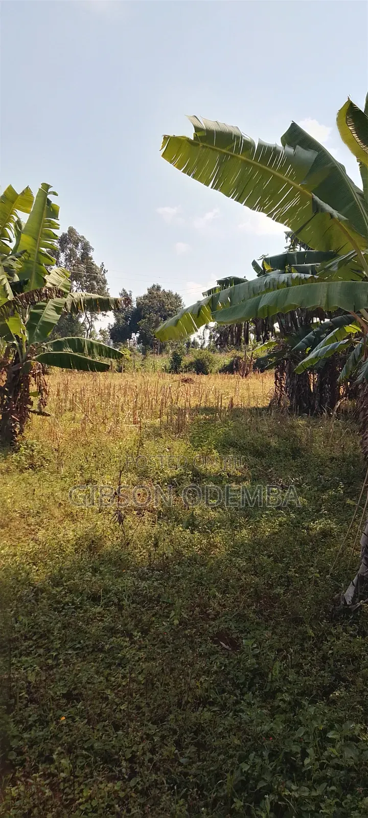 0.18hect in Ludha Siaya County