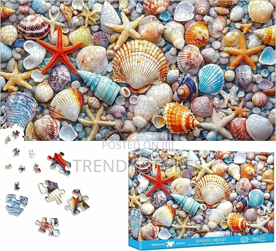 Seashell Puzzle