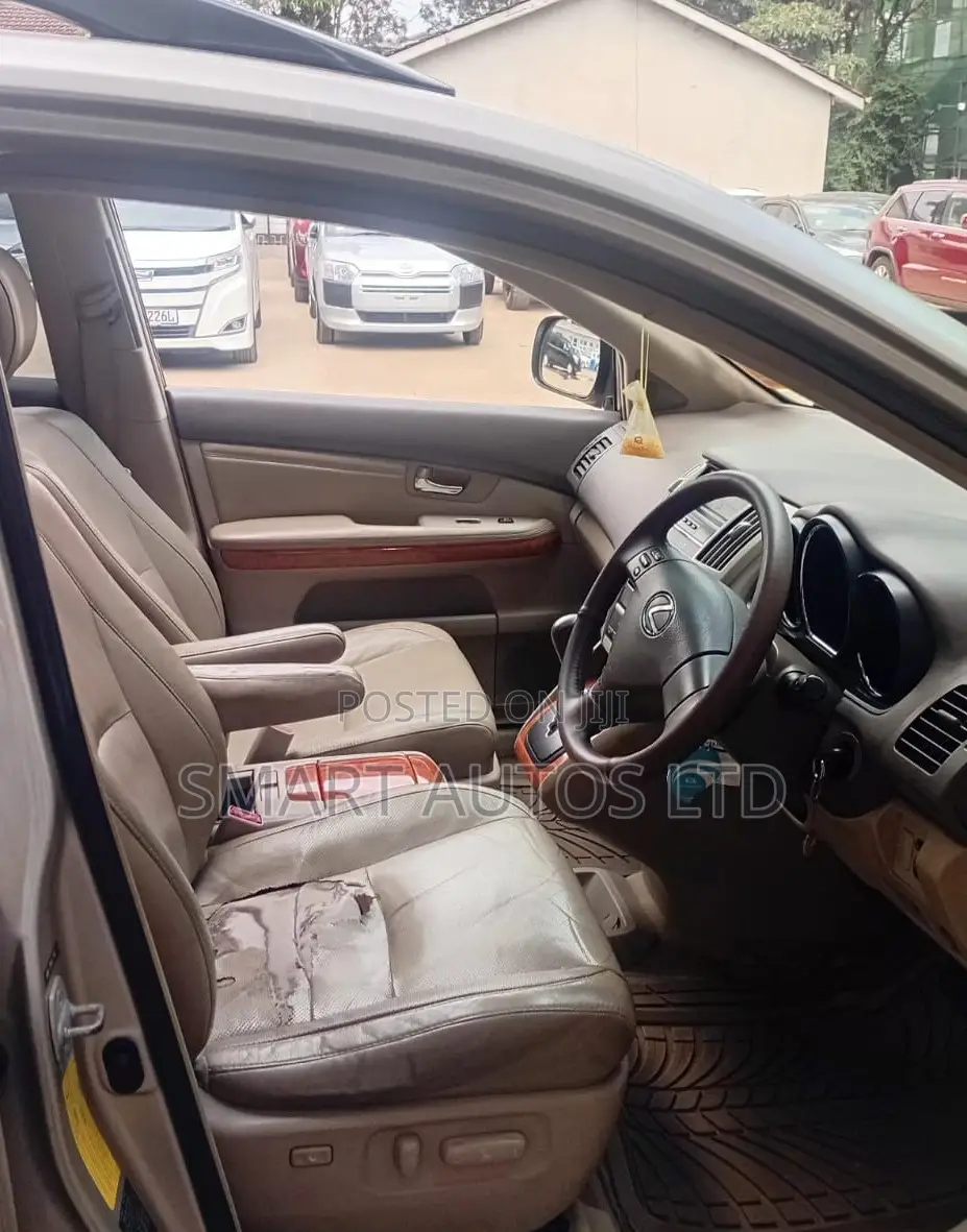 Lexus RX 2007 Gold