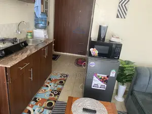 Nicely Furnished Studios Ruaka