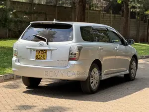 Toyota Corolla Fielder 2010 Silver
