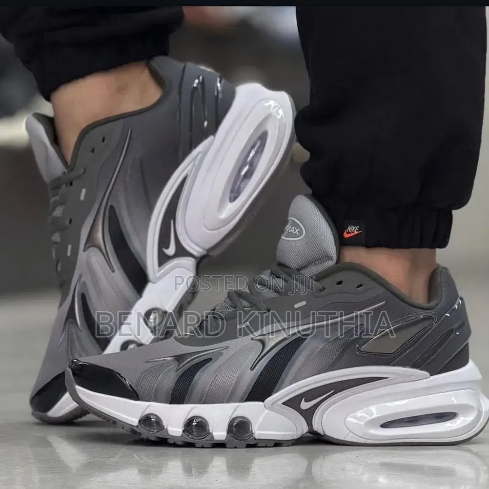 Nike Air Max Spor