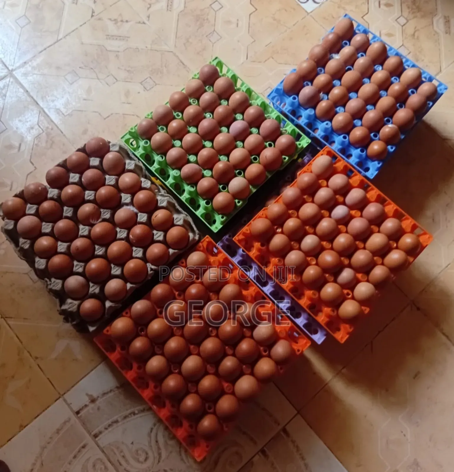 Chicken Eggs