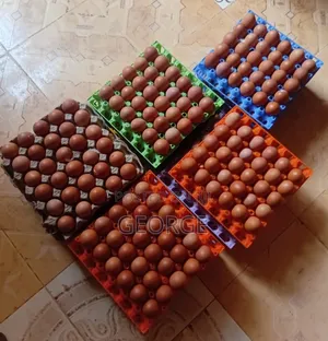 Chicken Eggs