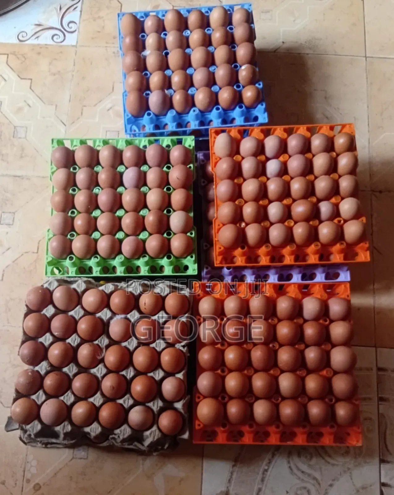 Chicken Eggs