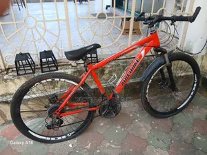 Red Bicycle