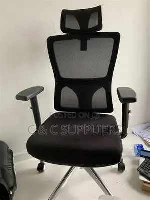 Reclinable Orthopedic Mesh Chair.