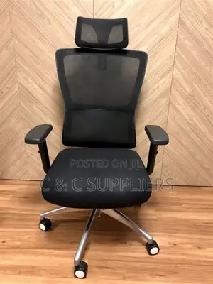 Reclinable Orthopedic Mesh Chair.