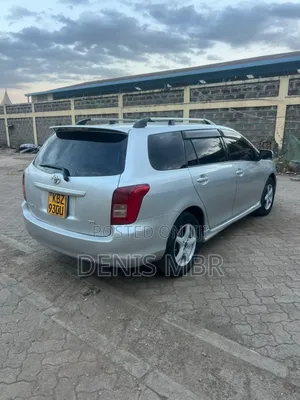 Toyota Corolla Fielder 2008 Silver