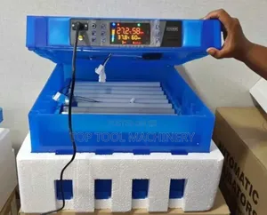 Affordable Automatic 64 Eggs Incubator Machine