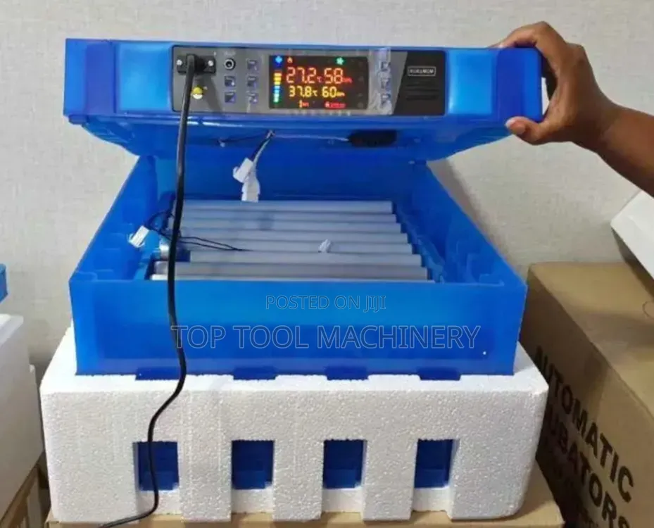 Affordable Automatic 64 Eggs Incubator Machine