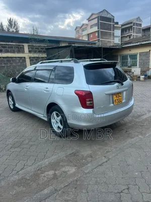 Toyota Corolla Fielder 2008 Silver