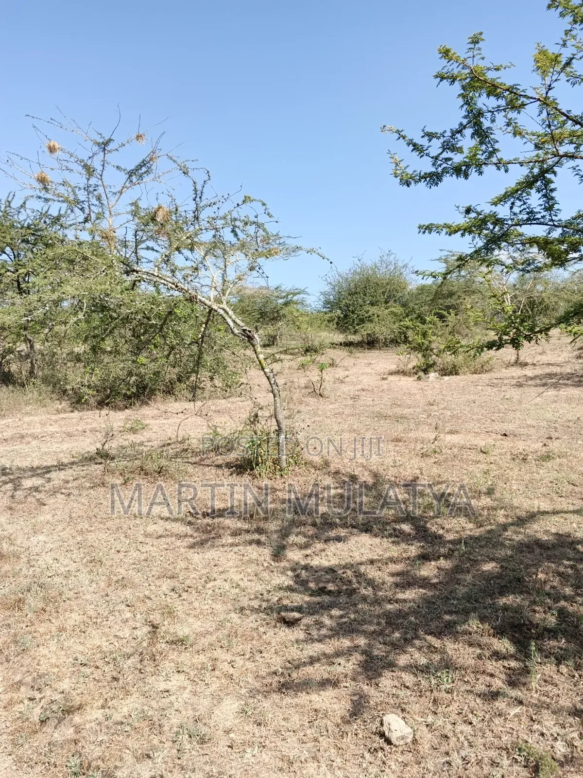 Land for Sell