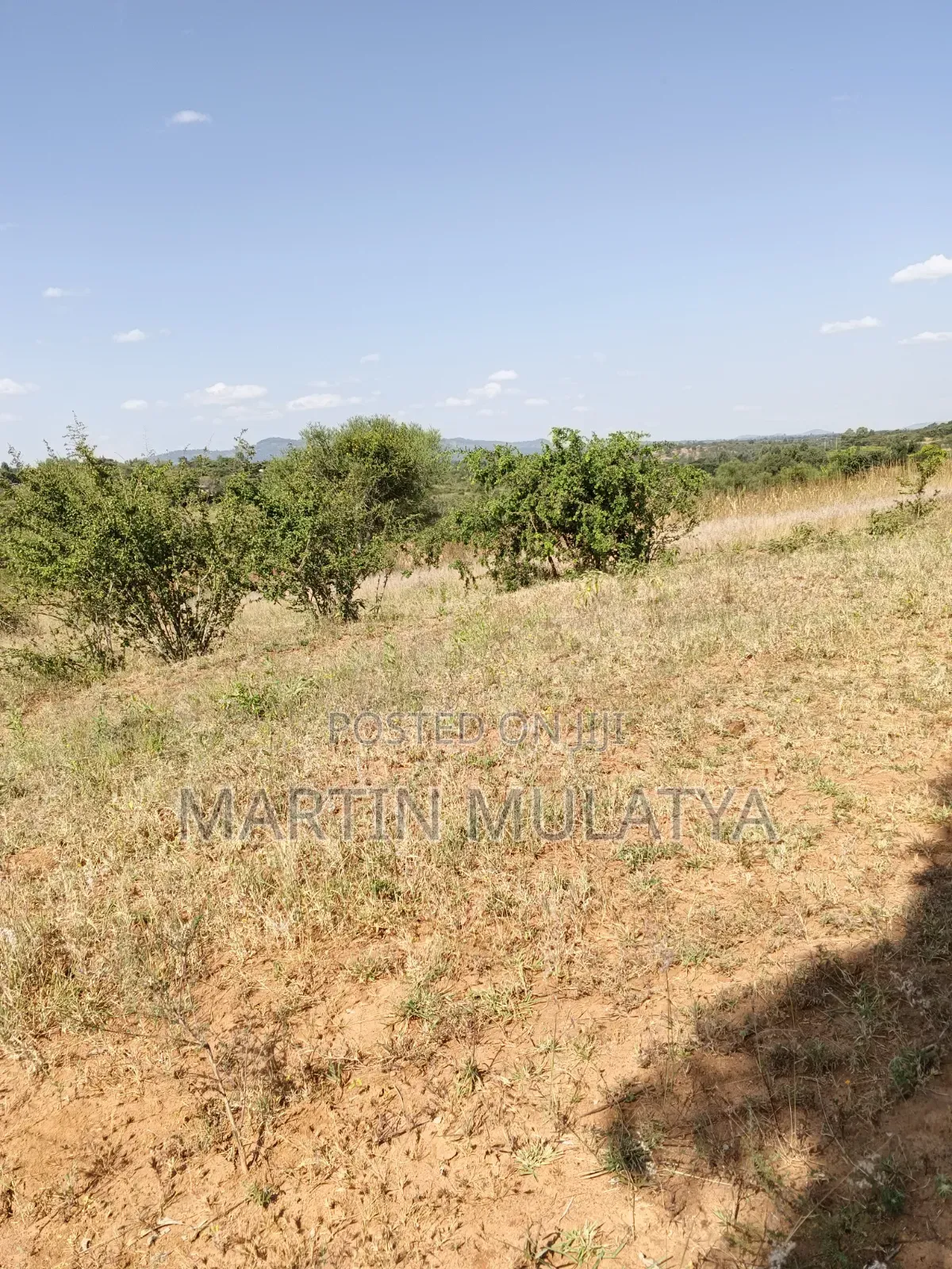 Land for Sell