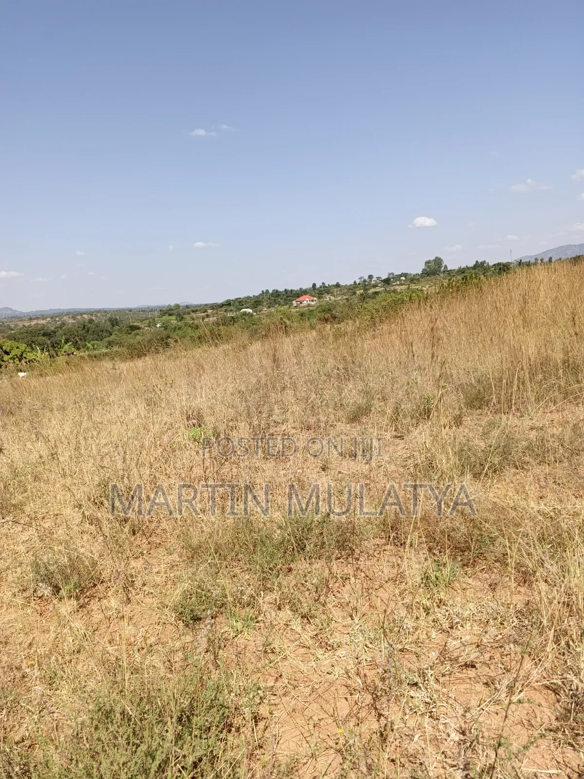 Land for Sell