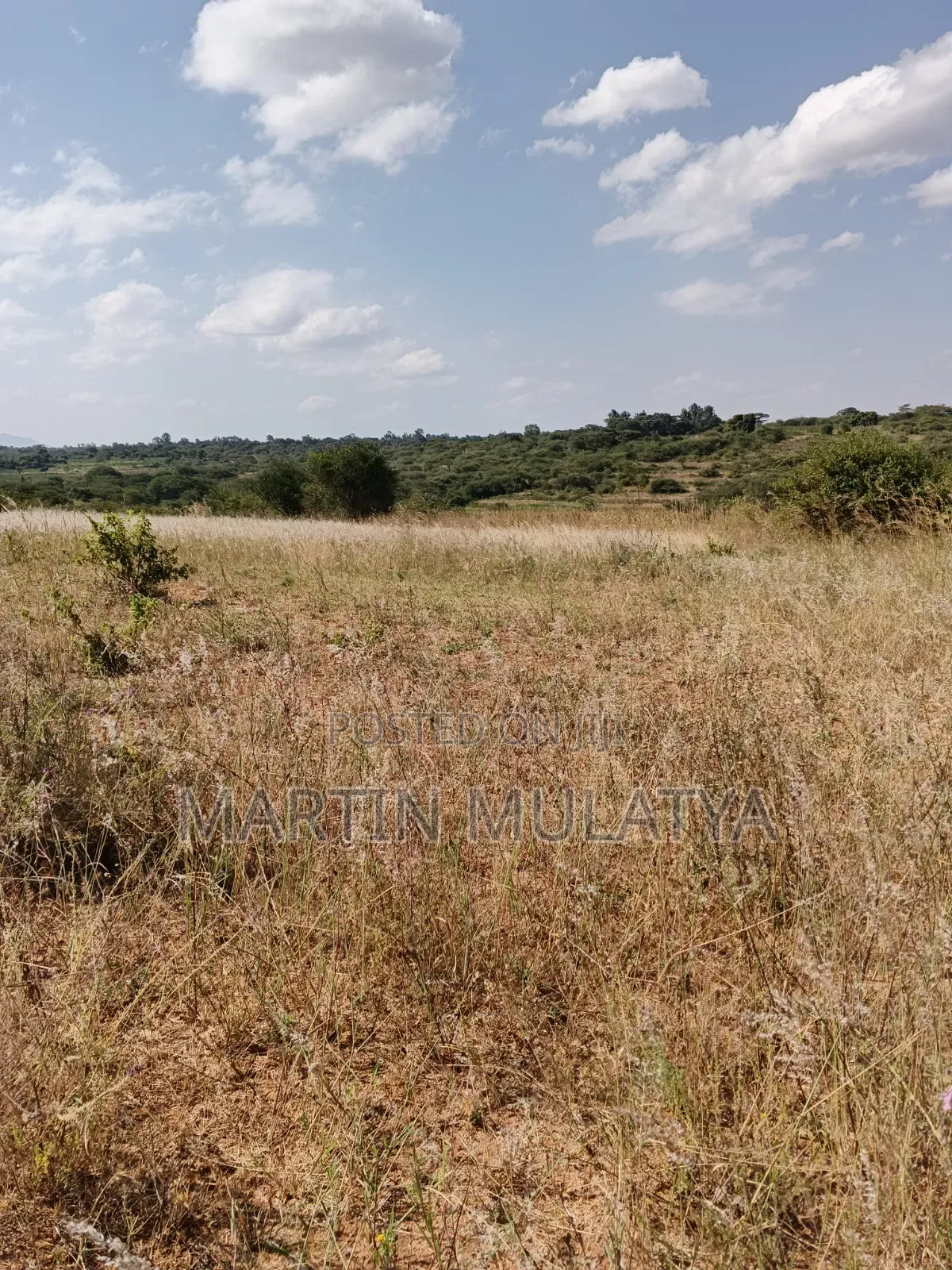Land for Sell