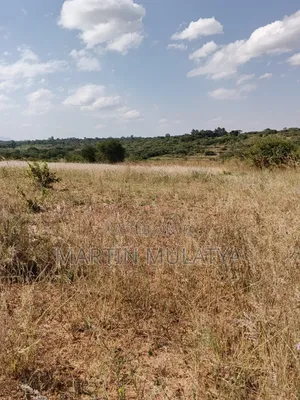 Land for Sell