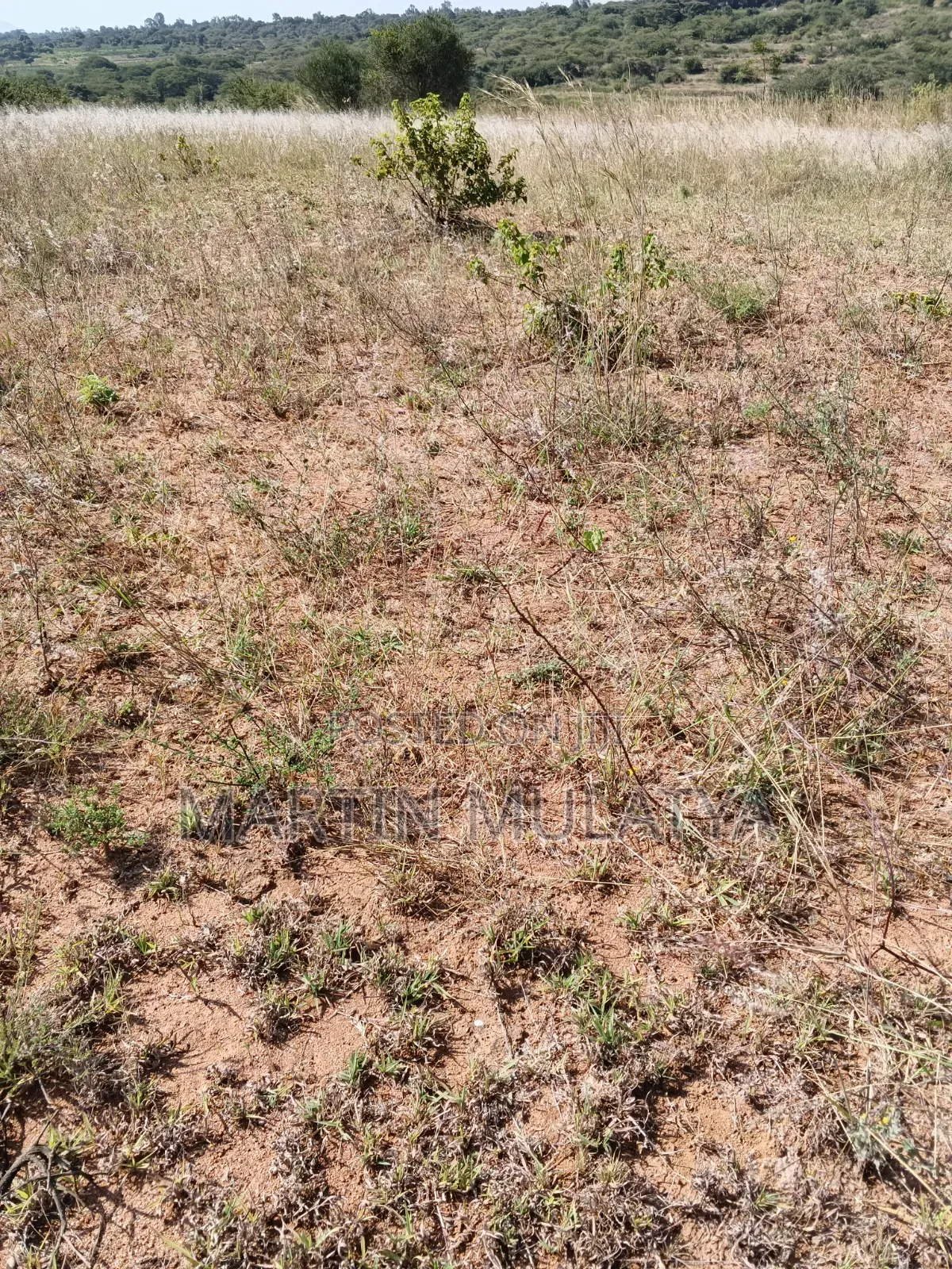 Land for Sell