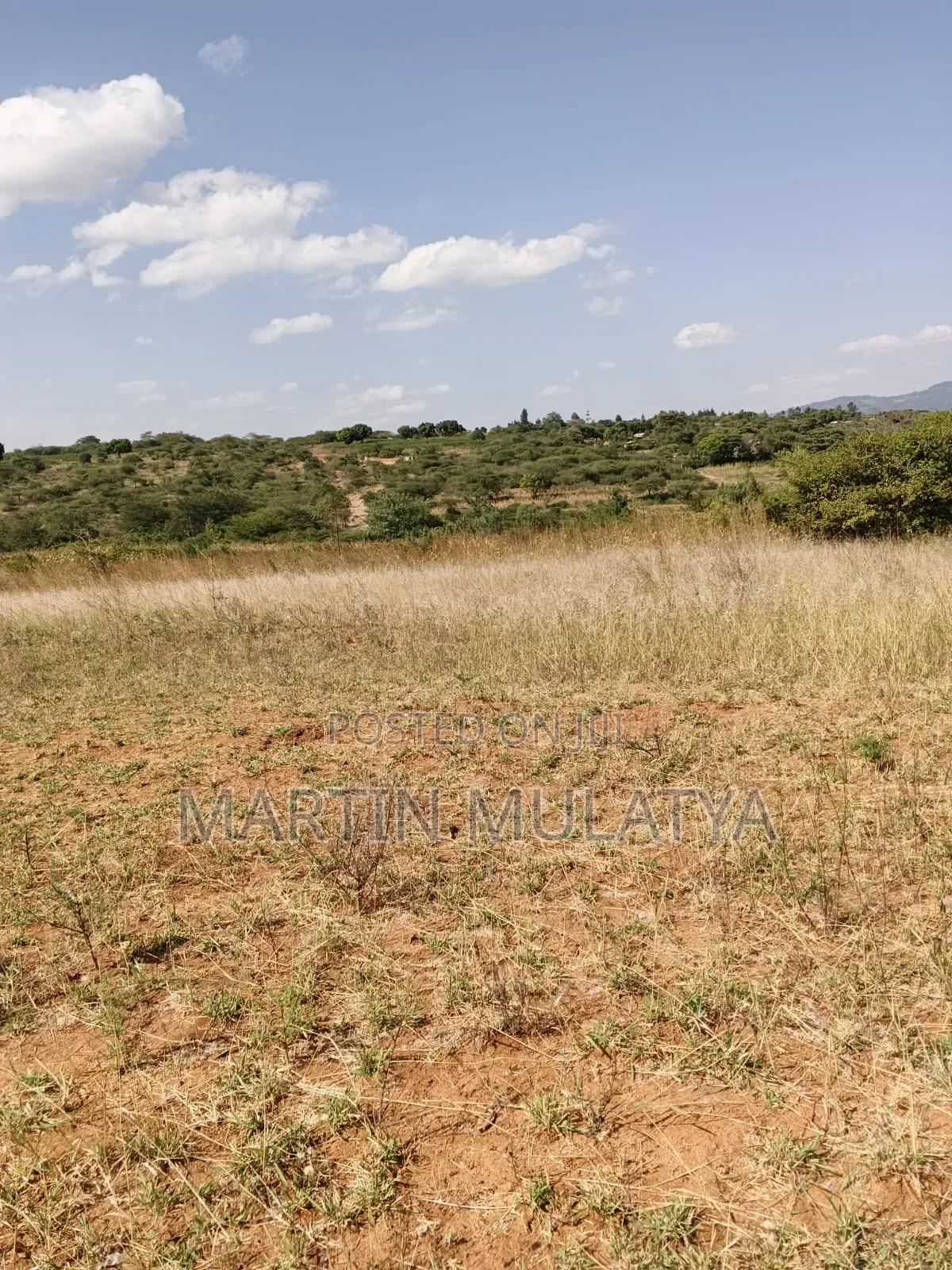 Land for Sell