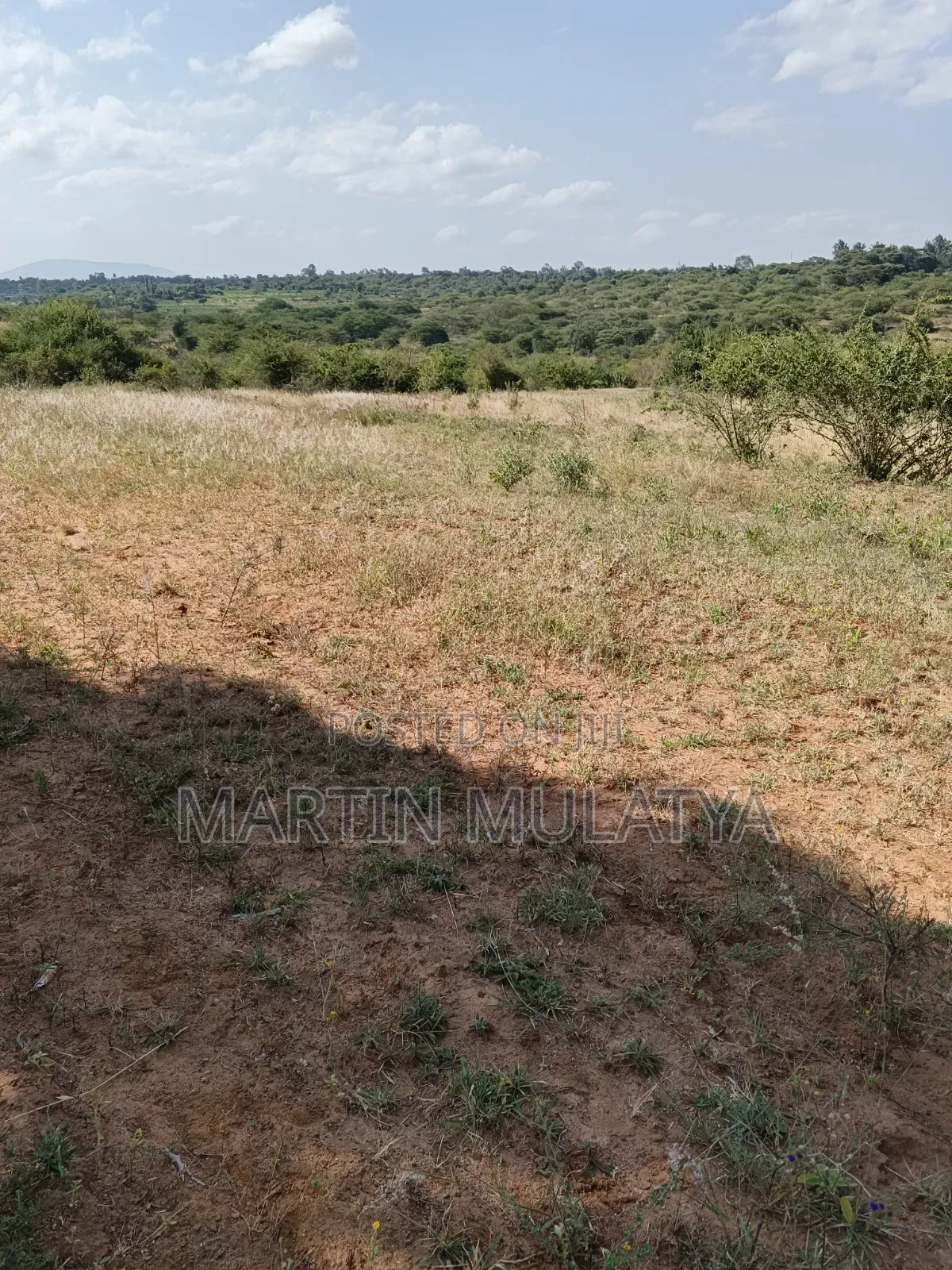 Land for Sell