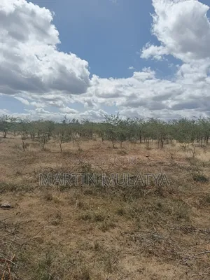 Land for Sell