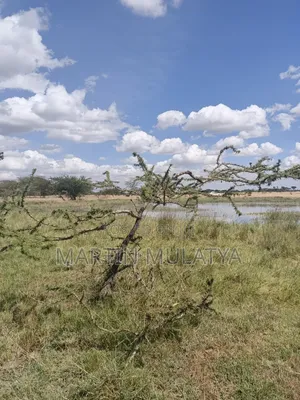 Land for Sell
