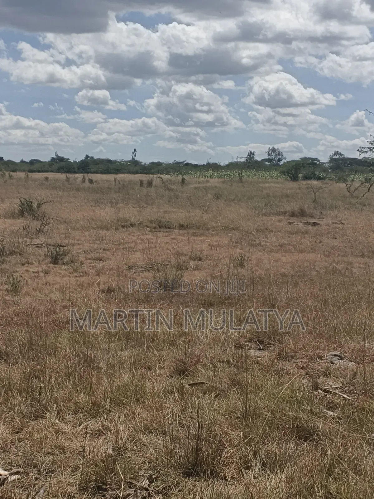 Land for Sell