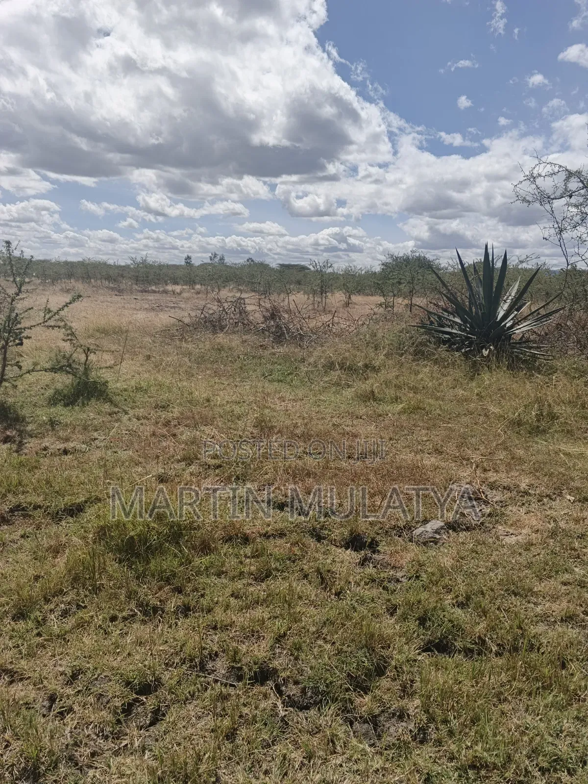 Land for Sell