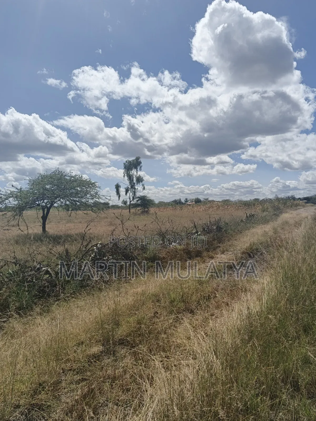 Land for Sell