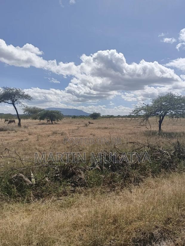 Land for Sell - thumbnail 9