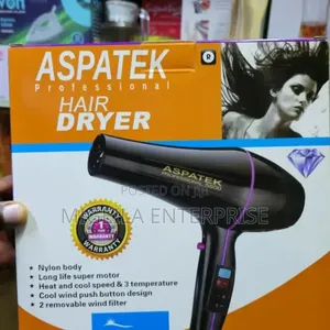 Commercial Hair Dryer Aspatek